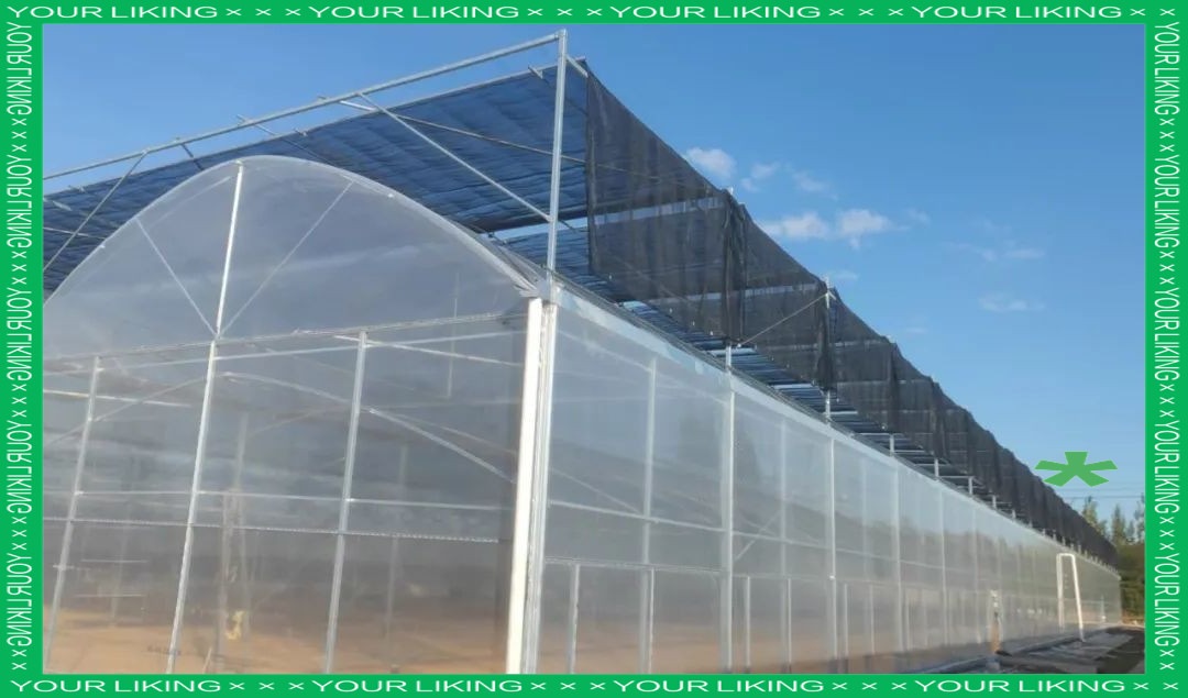 連棟薄膜溫室大棚項目火熱施工中，大棚薄膜技術助力現代農業