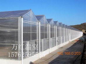 溫室大棚選購指南 薄膜、玻璃與生態玻璃溫室的對比與推薦