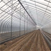 連棟薄膜溫室大棚 結構解析、價格因素與大棚薄膜選型指南