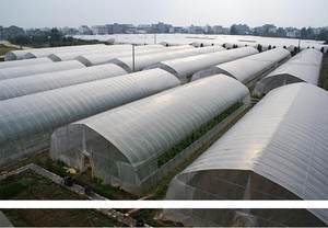 塑料薄膜在現代農業與生活中的多功能應用